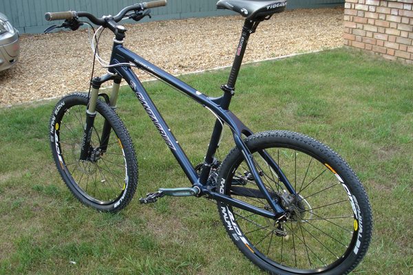 Santa Cruz Chameleon